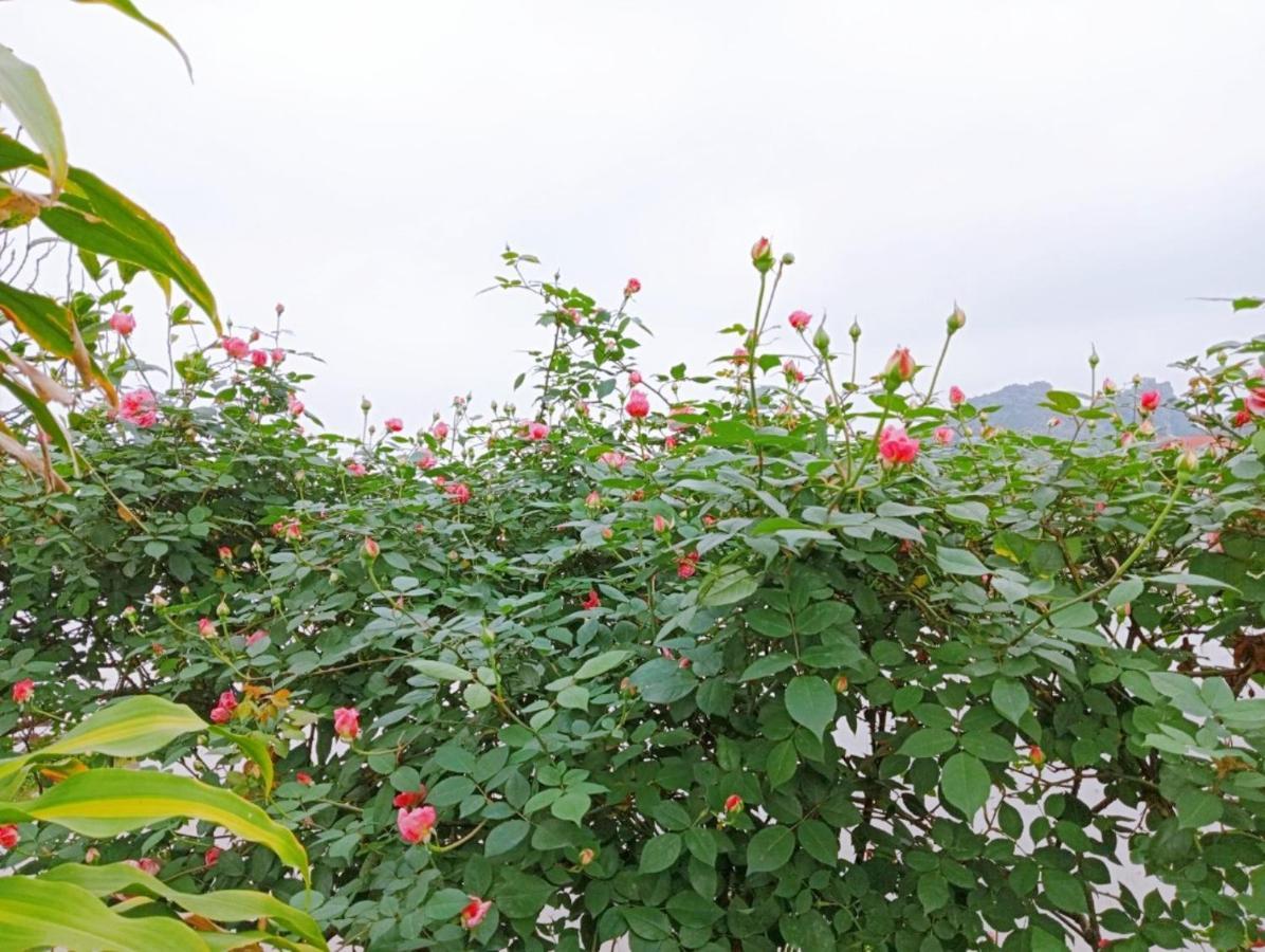 Ninh Binh Green Farmstay La Phu  Εξωτερικό φωτογραφία