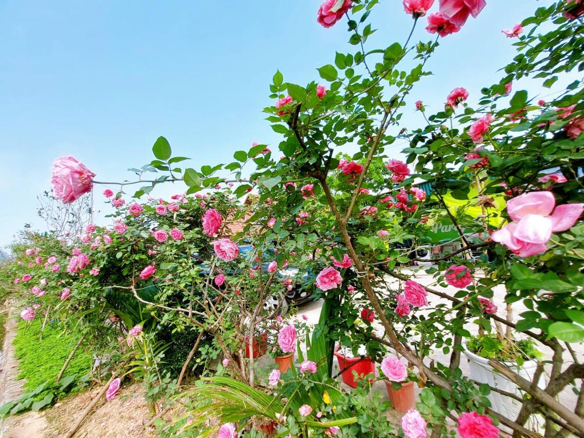 Ninh Binh Green Farmstay La Phu  Εξωτερικό φωτογραφία