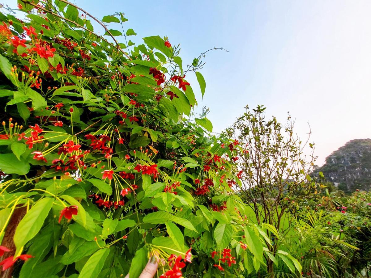 Ninh Binh Green Farmstay La Phu  Εξωτερικό φωτογραφία