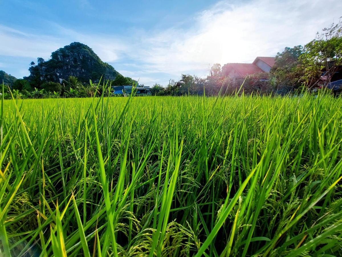 Ninh Binh Green Farmstay La Phu  Εξωτερικό φωτογραφία