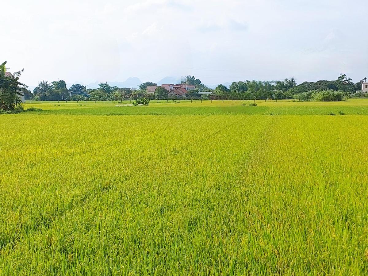 Ninh Binh Green Farmstay La Phu  Εξωτερικό φωτογραφία