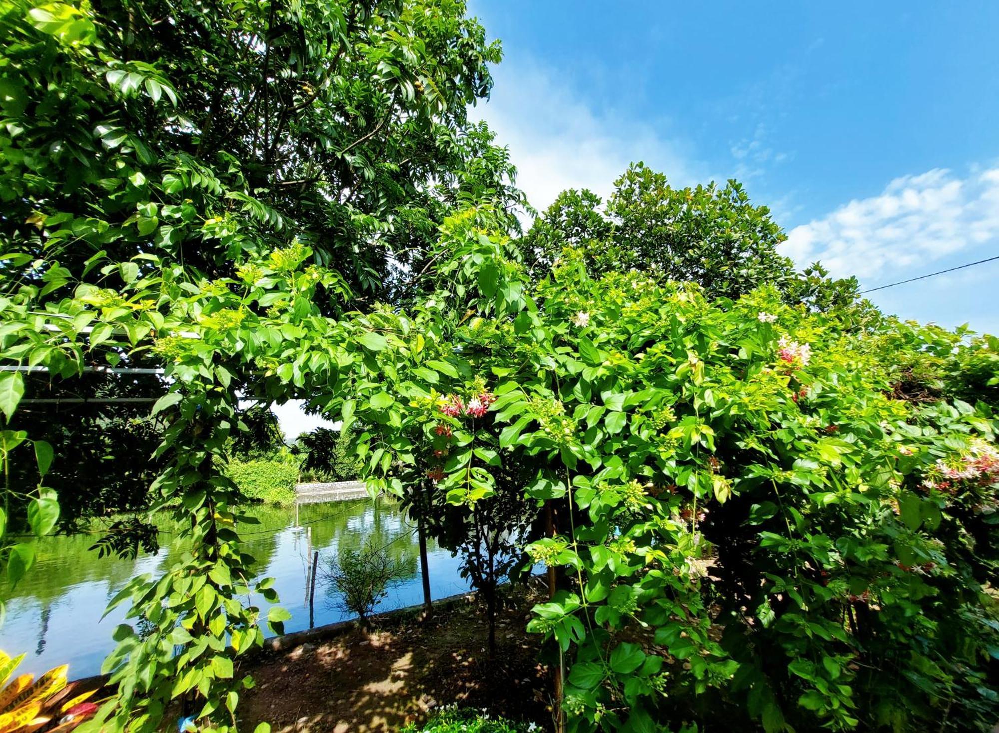 Ninh Binh Green Farmstay La Phu  Εξωτερικό φωτογραφία